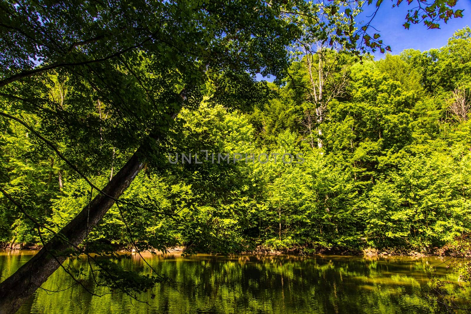 View of the Mohican River in Summer, Mohican State Park, Ohio