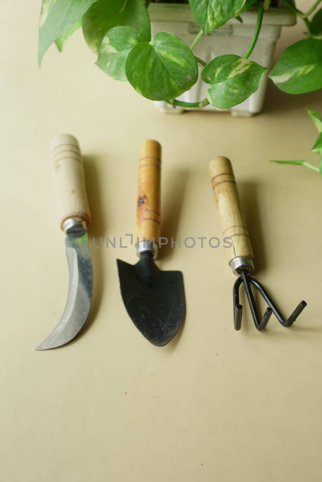 gardening tools and plant on a table with copy space .