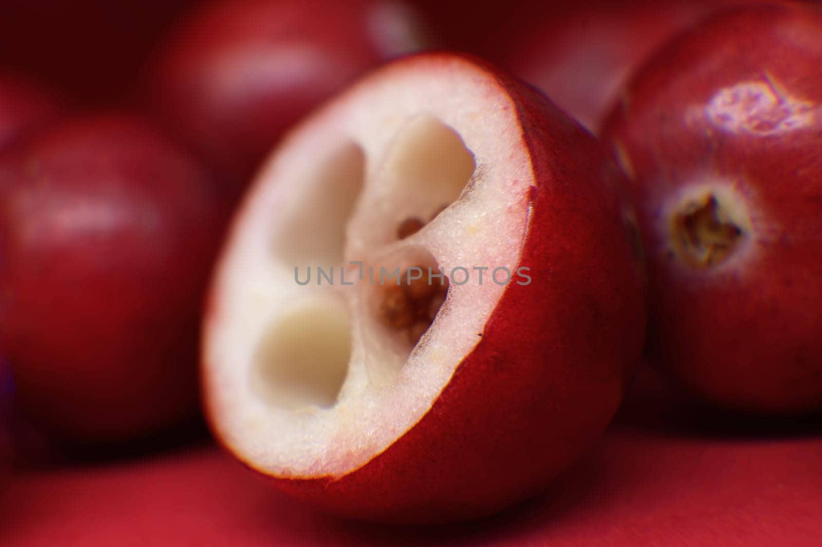 Macro of a cranberry cut in half, revealing a white interior with red seed
