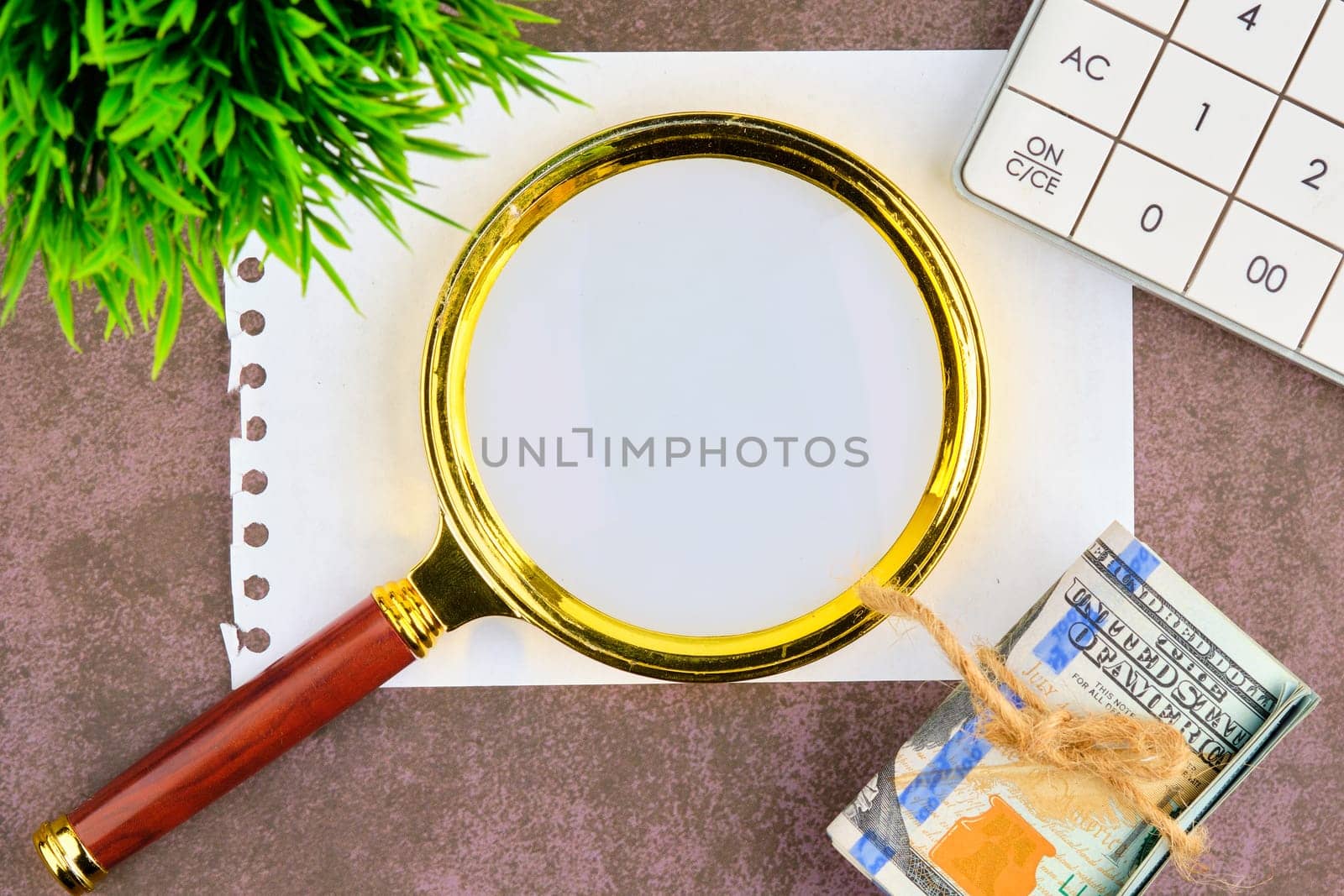 A gold magnifying glass on top of a piece of paper. Banknotes, a plant and a calculator in the composition of the image. A place to copy