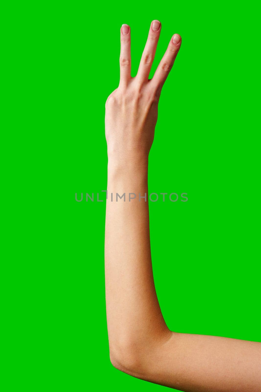 Human Hand Displaying the Number Three Against a Solid Green Background by Fabrikasimf