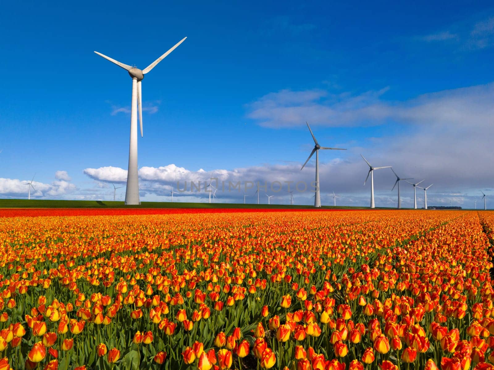 offshore windmill park with clouds and a blue sky, windmill park in the ocean drone aerial view with wind turbine Flevoland Netherlands Ijsselmeer by fokkebok