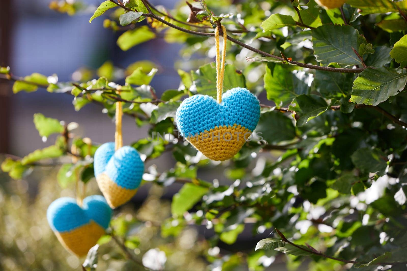 Knitted heart toys in the shape of the flag of Ukraine.
