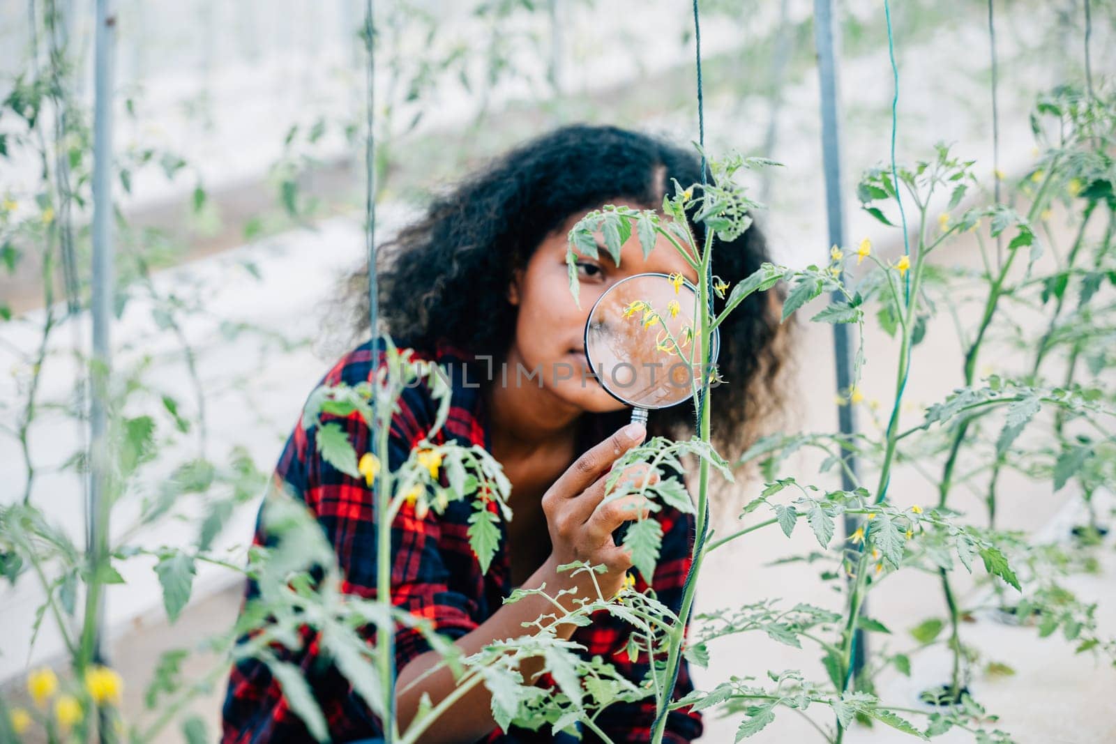 Amidst an outdoor garden a black woman a devoted gardener and farmer uses a magnifying glass to inspect flower growth by Sorapop