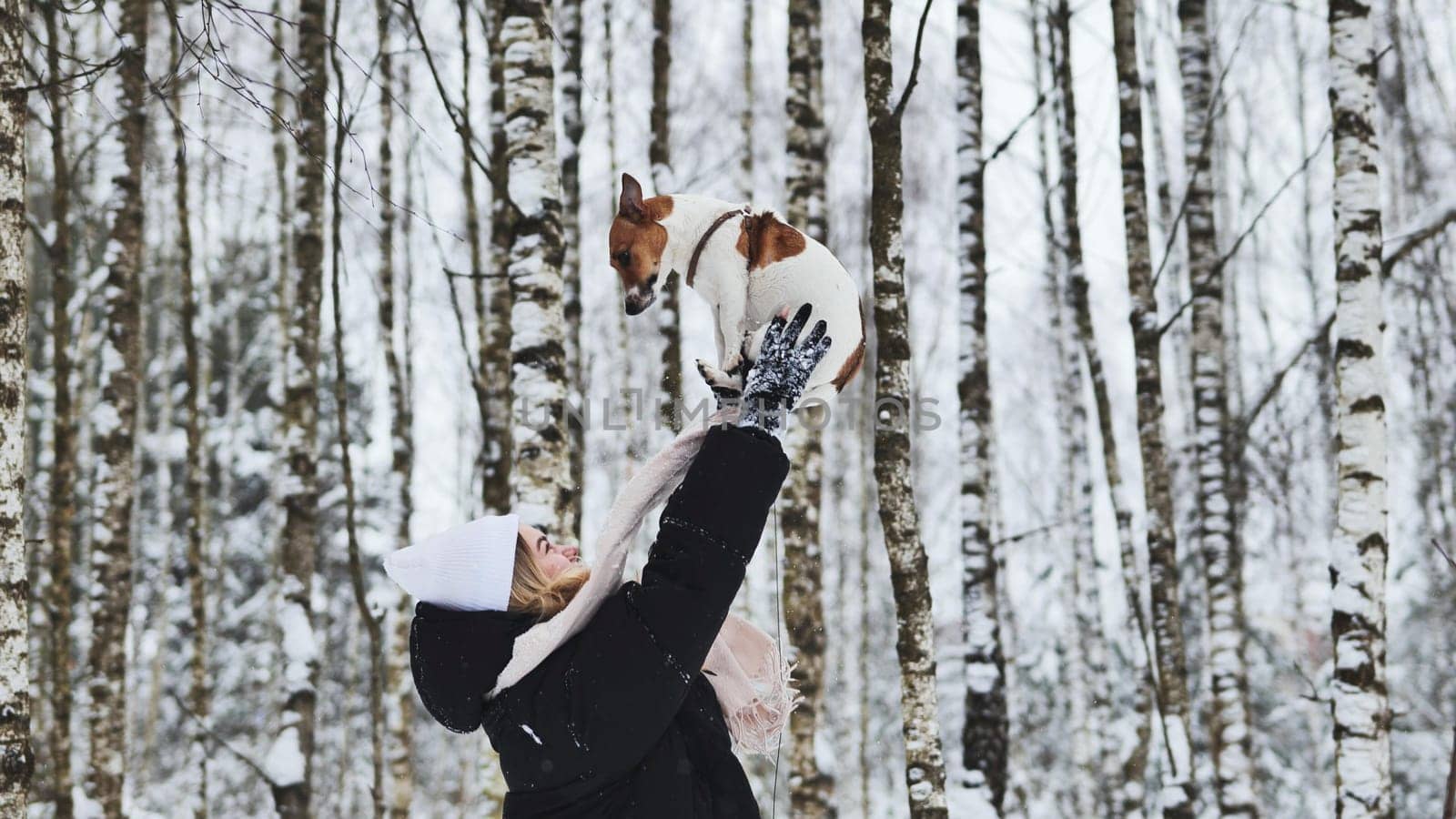 A girl tosses up her Jack Russell Terrier dog in the woods in winter. by DovidPro