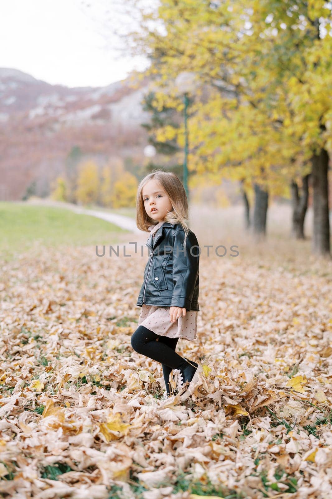 Little girl walks through fallen dry leaves in the park, looking to the side. High quality photo