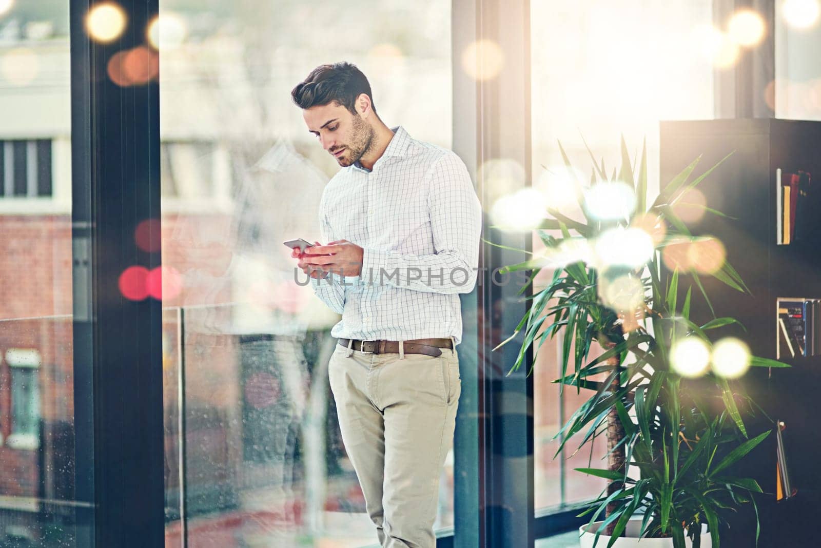 Man, office and texting on smartphone for internet or check social media, post and messages. Business person, lens flare and window with communication or networking for news update and website.