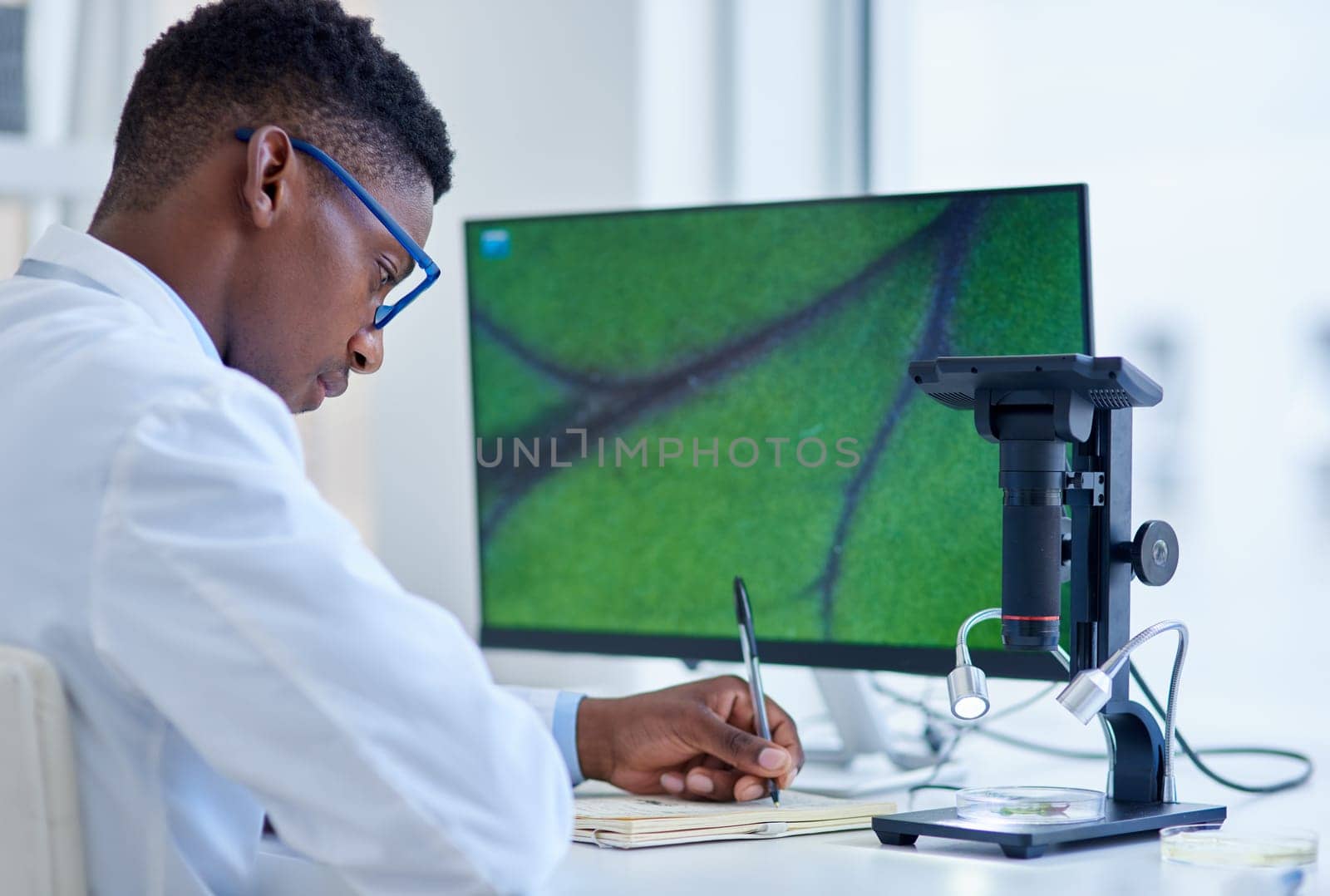 Black man, notes or scientist writing for science innovation, vaccine or antiaging medicine chemical. Notebook, medical or African biologist with microscope in research or life extension test in lab.