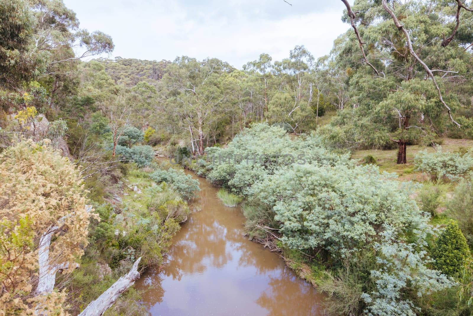 Mountain bike and hiking trails and landscape around Plenty Gorge in Northern Melbourne in Victoria, Australia