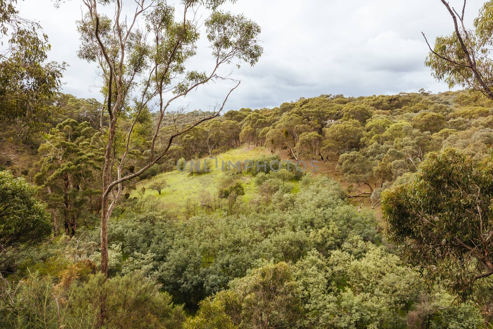Plenty Gorge Parklands in Australia by FiledIMAGE