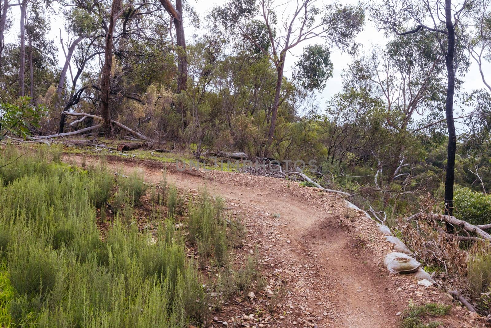 Mountain bike and hiking trails and landscape around Plenty Gorge in Northern Melbourne in Victoria, Australia