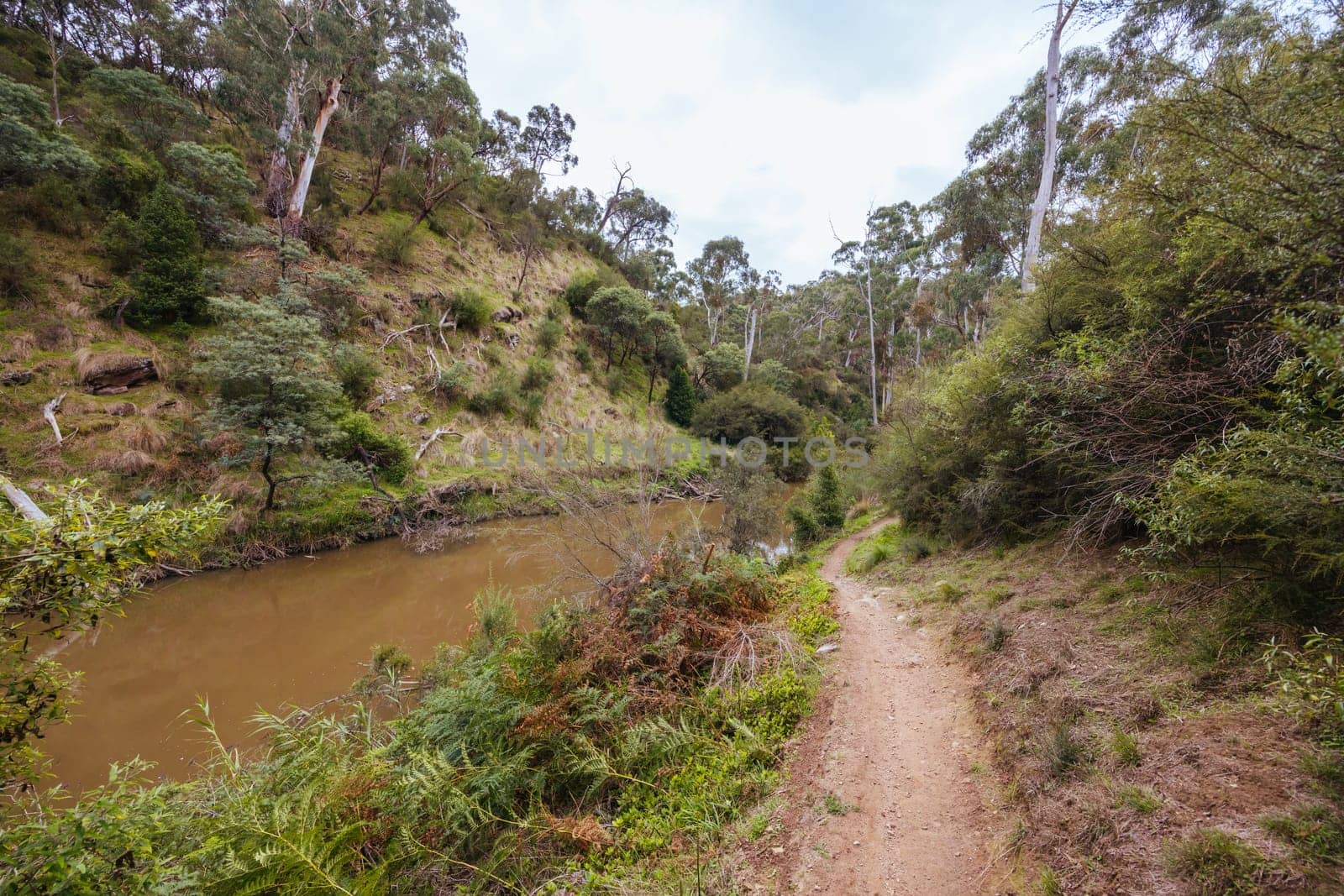 Mountain bike and hiking trails and landscape around Plenty Gorge in Northern Melbourne in Victoria, Australia