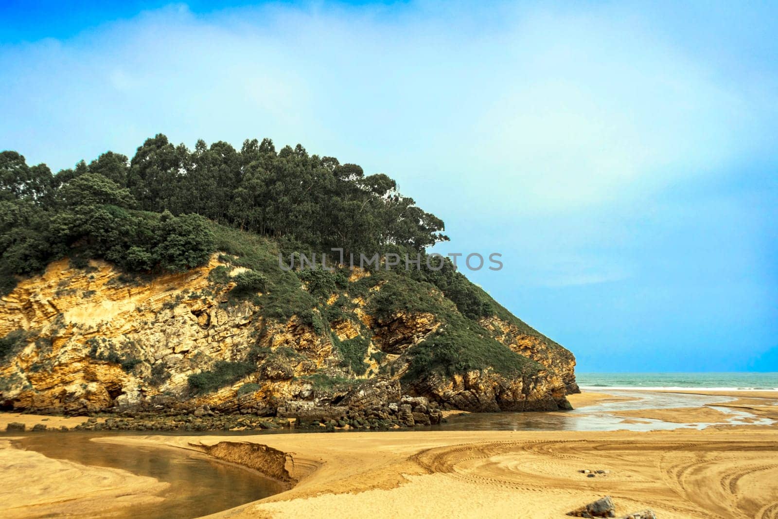 Atlantic coast of Spain rocky hill with trees and green vegetation, Basque Country. Way of Santiago