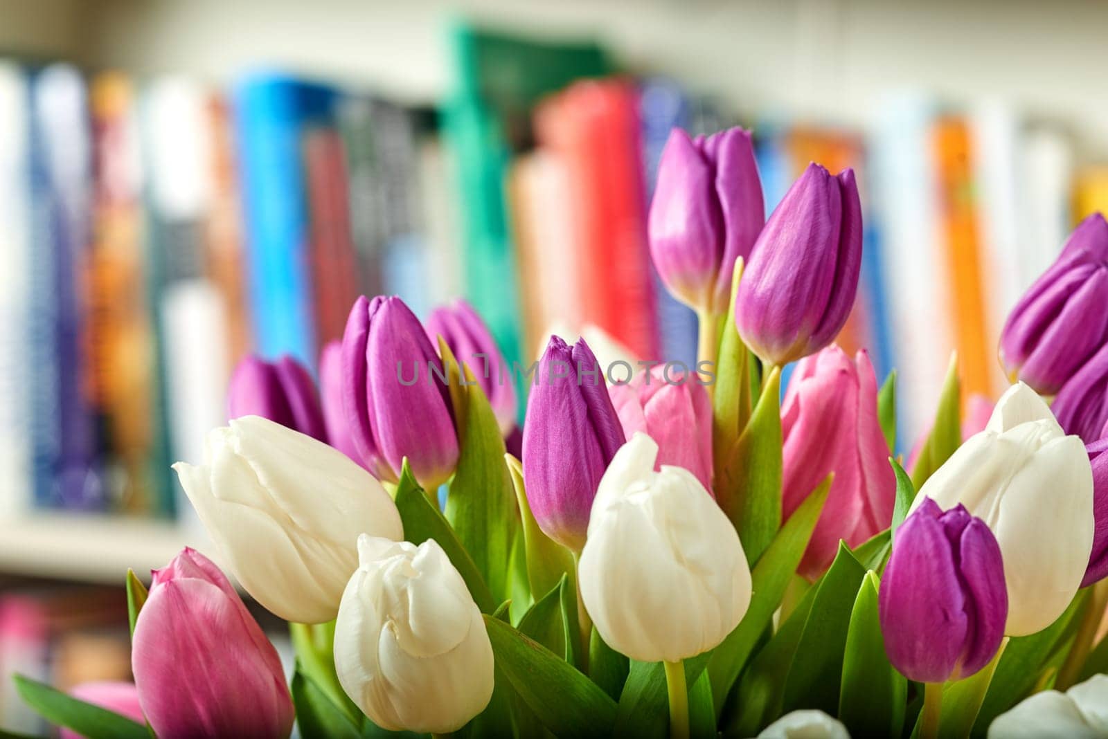 Fresh, flowers and tulips in home for decor, present or surprise by book shelf in house. Plants, petal and color floral for creativity as collection for wallpaper, screensaver and natural indoor.
