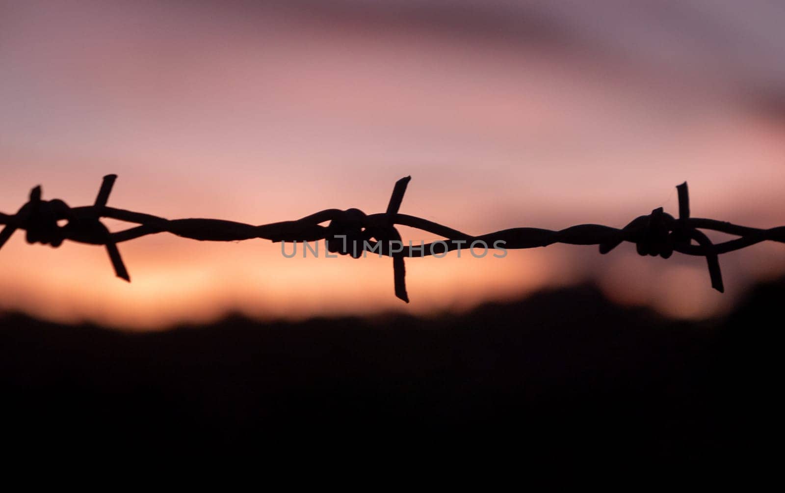 Silhouette of barbed wire on yellow sunset background. barbed wire fence silhouette at orange sunset.