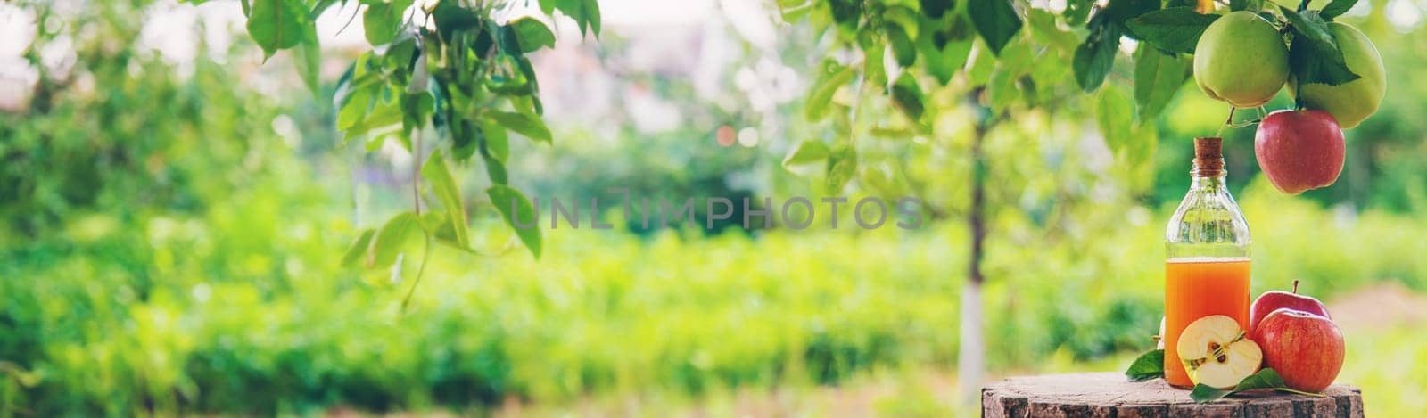 Apple cider vinegar in the garden. Selective focus. by yanadjana