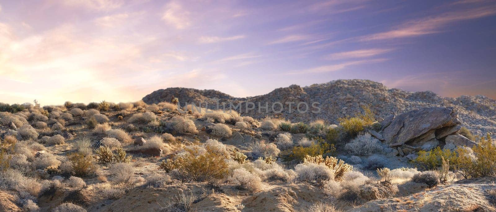 California, desert and land with panorama, environment and blue sky for travel or tourism. Nature, mountain and landscape for cactus, scenery and usa sunshine with summer weather and outdoor harmony by YuriArcurs