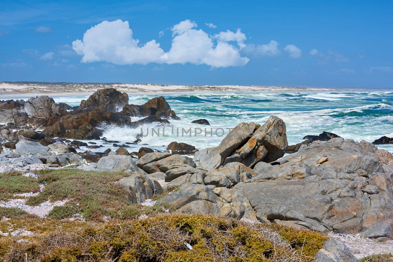 Beach, rocks and sea waves on coast for summer vacation or holiday traveling, swimming or environment. Ocean, boulders and grass in California for exploring with tropical island, foliage or nature.