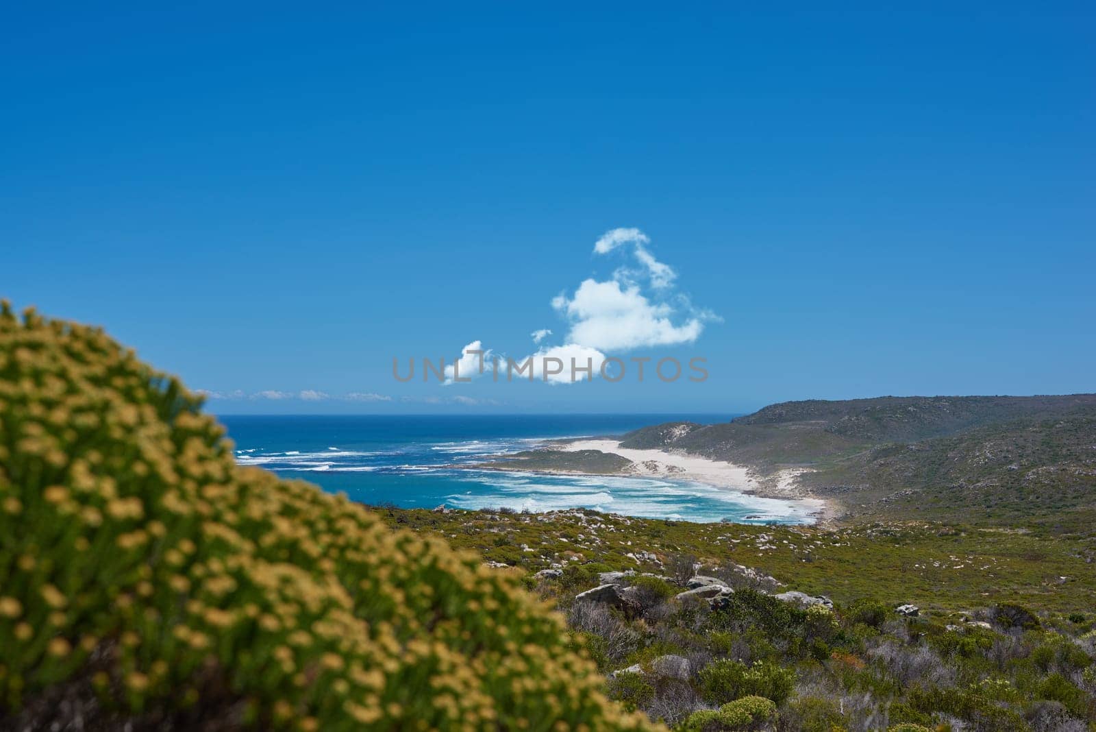 Beach, mountain and coast with nature environment in rural countryside with sea view, blue sky or hills. Travel, destination and foliage scenery with flower forest with grass, sunshine or holiday.