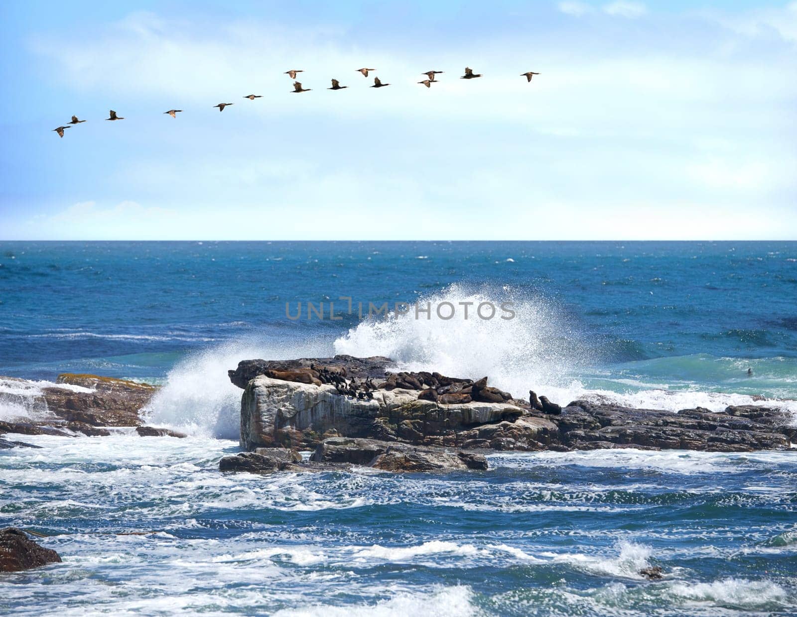 Ocean, blue sky and rock with wave in nature for environment, sustainability and beauty with birds. Water, beach and splash on stone in California for ecosystem, sunshine and background of sea by YuriArcurs
