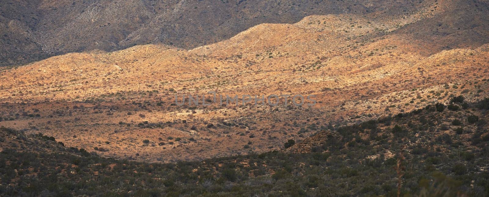 Landscape, countryside and mountain with nature or environmental friendly, summer and drought in Texas. Outdoor, adventure and jungle with global warming, dry and climate change with sustainability.