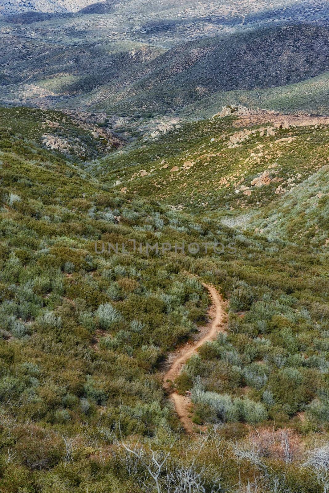 Nature, desert and trail with foliage, enviroment and blue sky for travel or tourism. California, mountain and land for cactus, scenery and usa sunshine with summer weather and outdoor harmony.