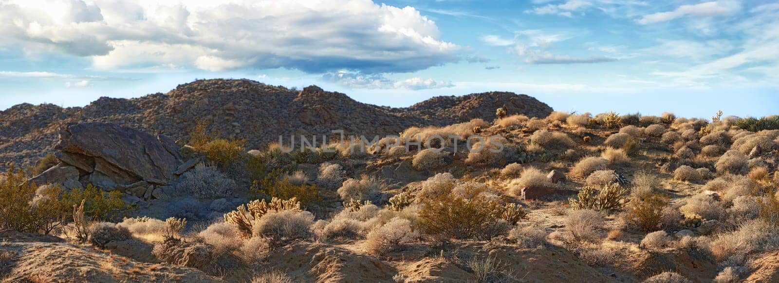 Desert, landscape and sunshine with plants, sky and summer with tourism weather and vacation. Empty, travel and wildlife with peace, dust and environment with holiday, mountain and field with clouds.
