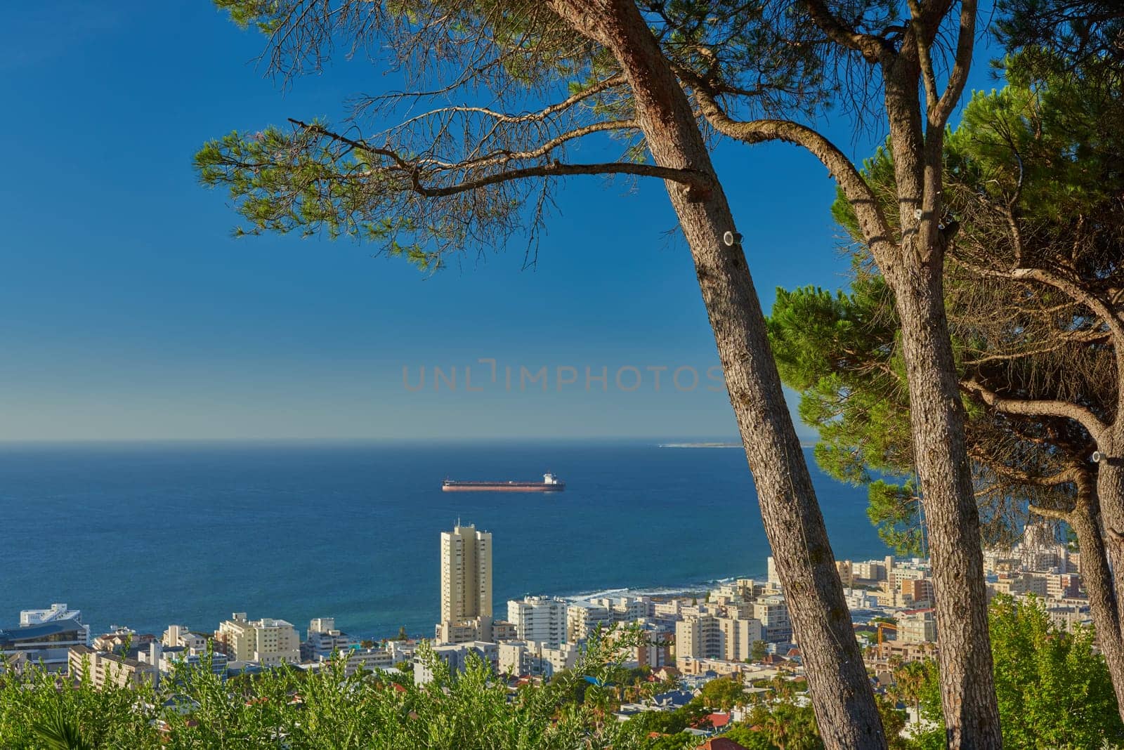 City, skyline and trees with ocean, landscape and sea for holiday location or outdoor journey. Miami, sunshine and infrastructure for road trip, travel or urban cityscape for scenic view for tourism.