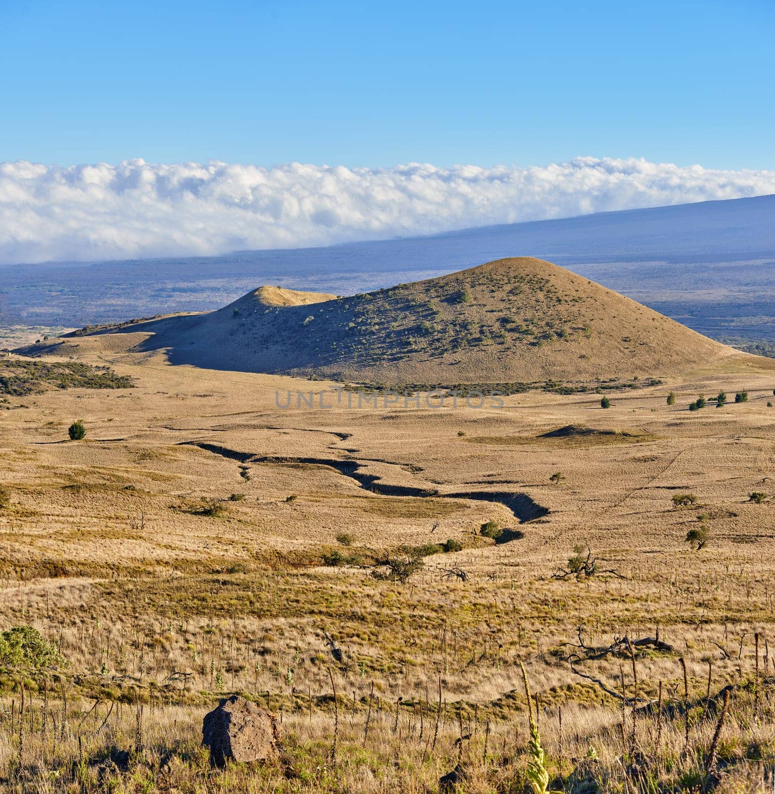 Desert, mountain and banner of landscape in nature, countryside or journey to inactive volcano in Hawaii. Hill, field and travel to bush in valley with grass, plants and clouds on horizon in blue sky.