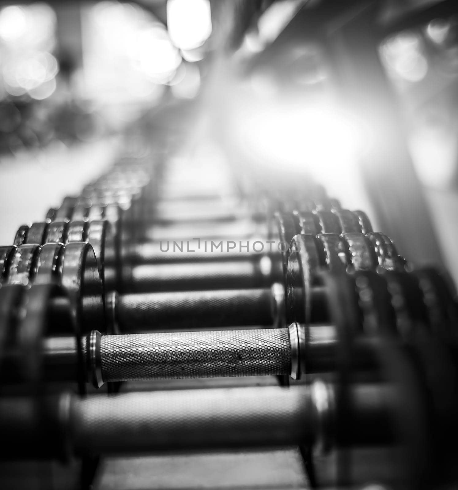 dumbbells in a different weights in the gym by GekaSkr