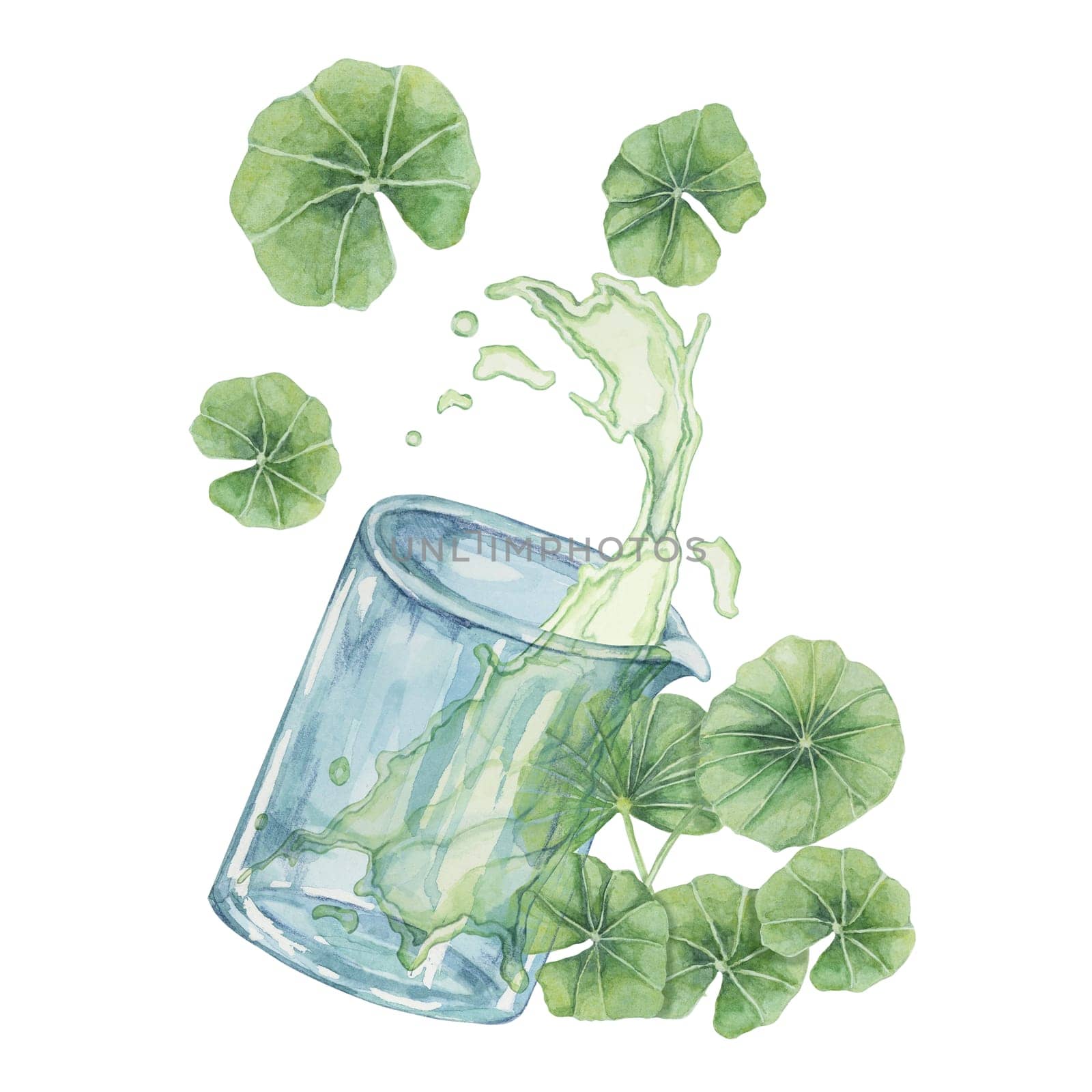 Centella asiatica and beaker with green extract spill, gotu cola fluid splash from glass. Watercolor leaves clipart for cosmetics, packaging, labels by Fofito