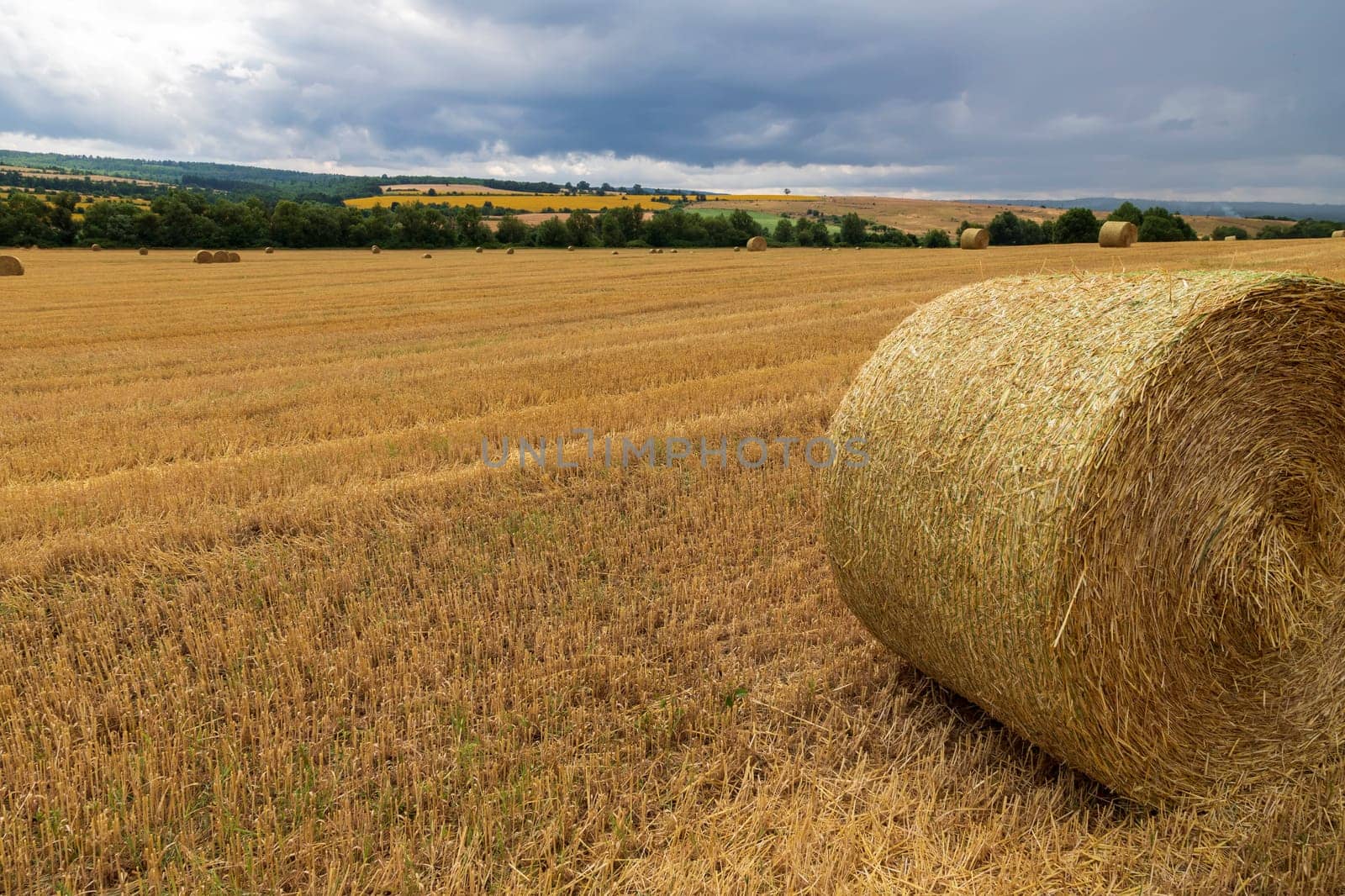 Big bales of hay on the field after harvest