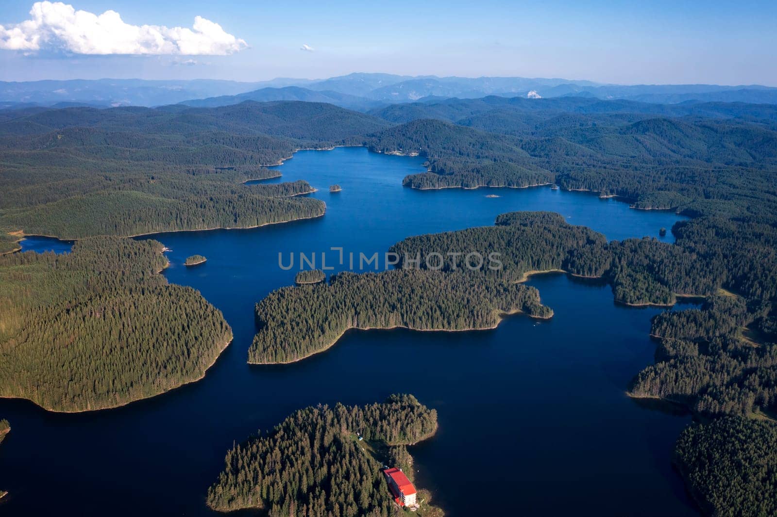 Beautiful aerial view of blue water and green forest. Dam Shiroka Poliana, Bulgaria.