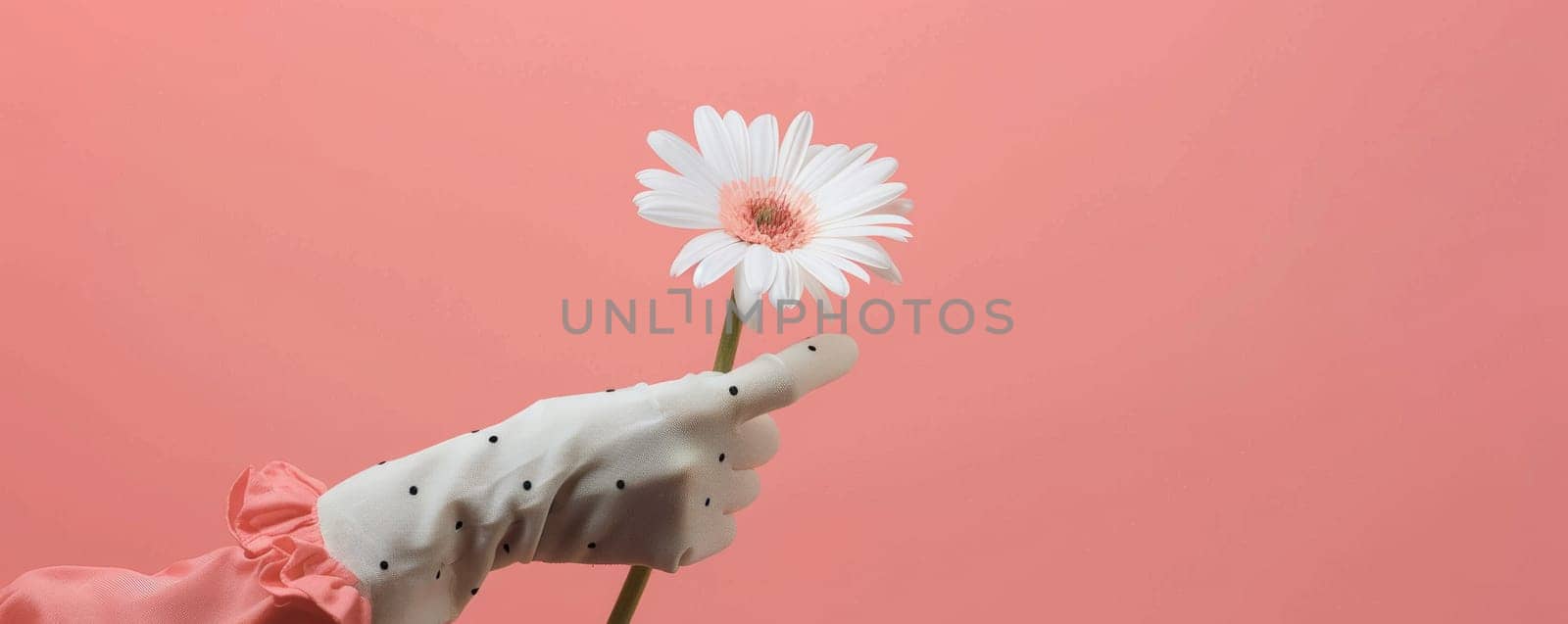 White polka dot glove holding a daisy flower against a pink background by Anastasiia