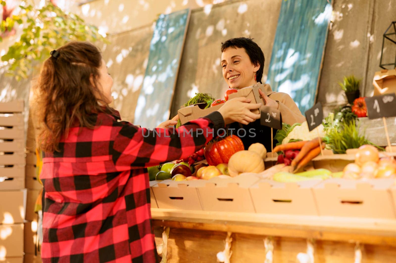 Young female shopper holding cardboard box with organic locally grown fruits and vegetables. Smiling vendor with apron selling healthy natural veggies at local farmers market.