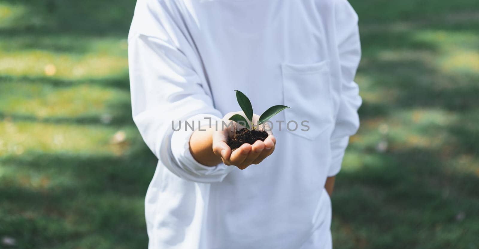 Promoting eco awareness on reforestation and long-term environmental sustainability with asian boy holding sprout. Nurturing greener nature for future generation with sustainable ecosystem. Gyre