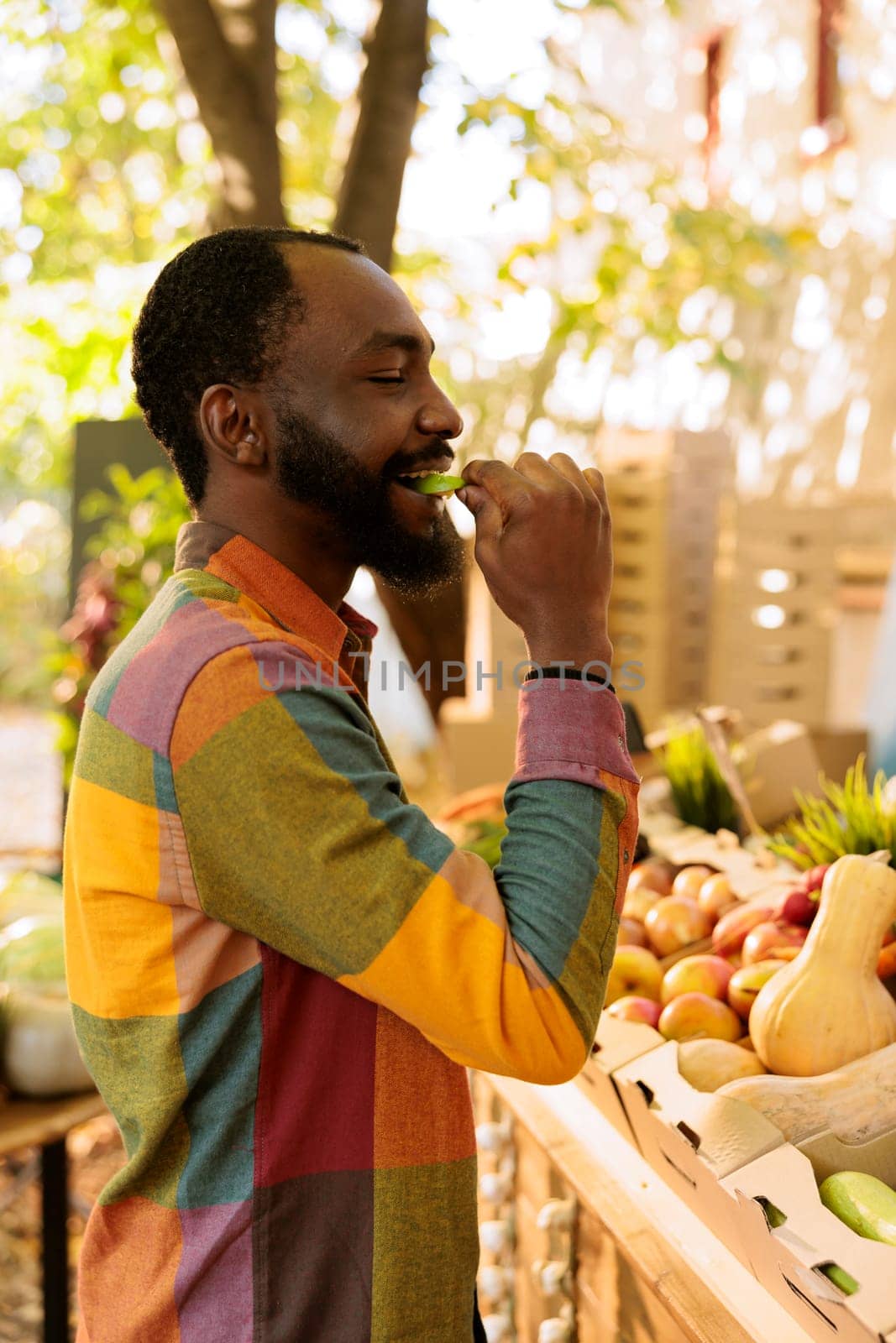 Portrait of smiling male individual tasting apple before buying bio produce, shopping for natural organic products at farmers market. Young black man enjoying food tasting fresh local produce.