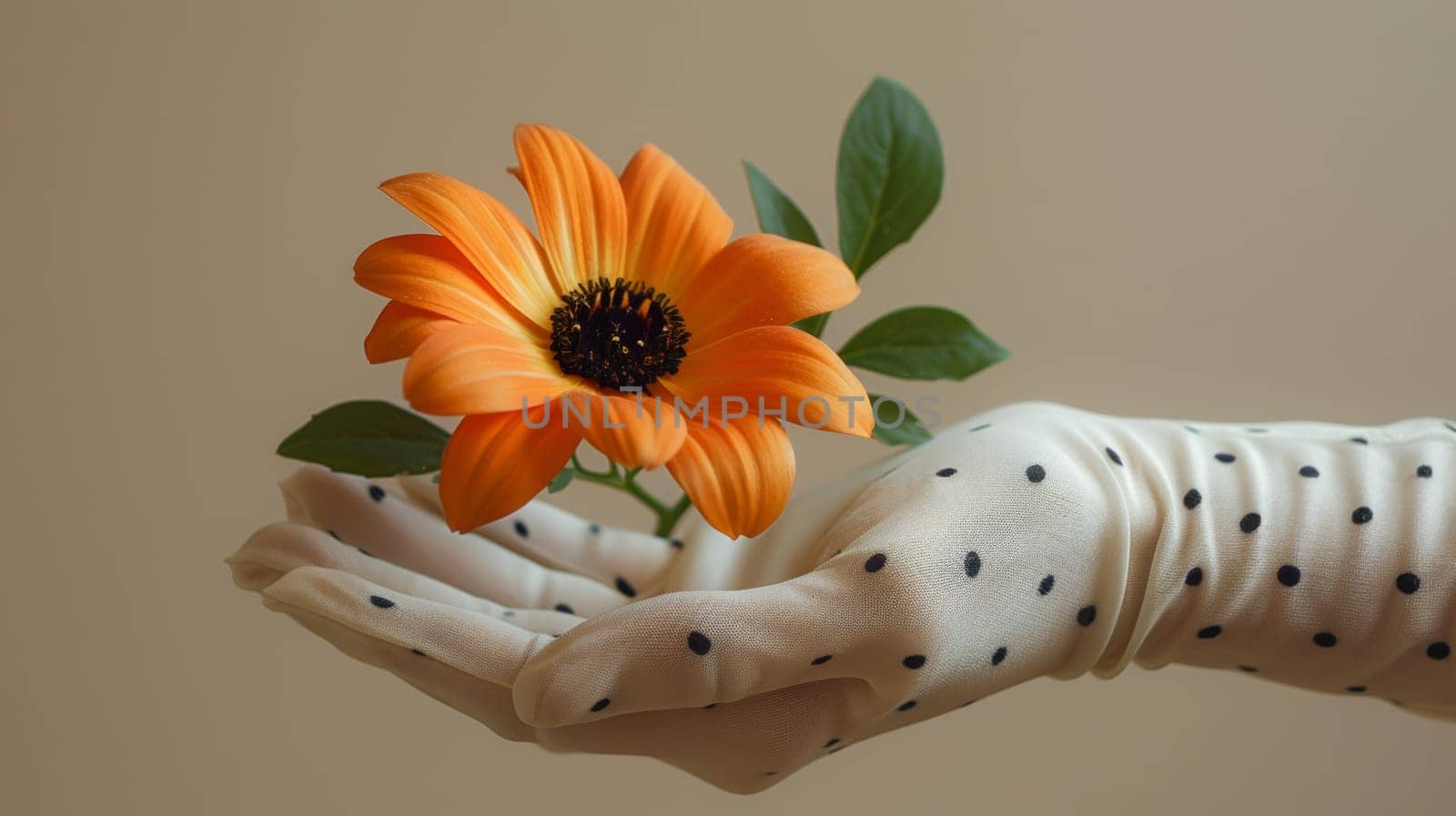Orange flower presented on a polka-dotted gloved hand