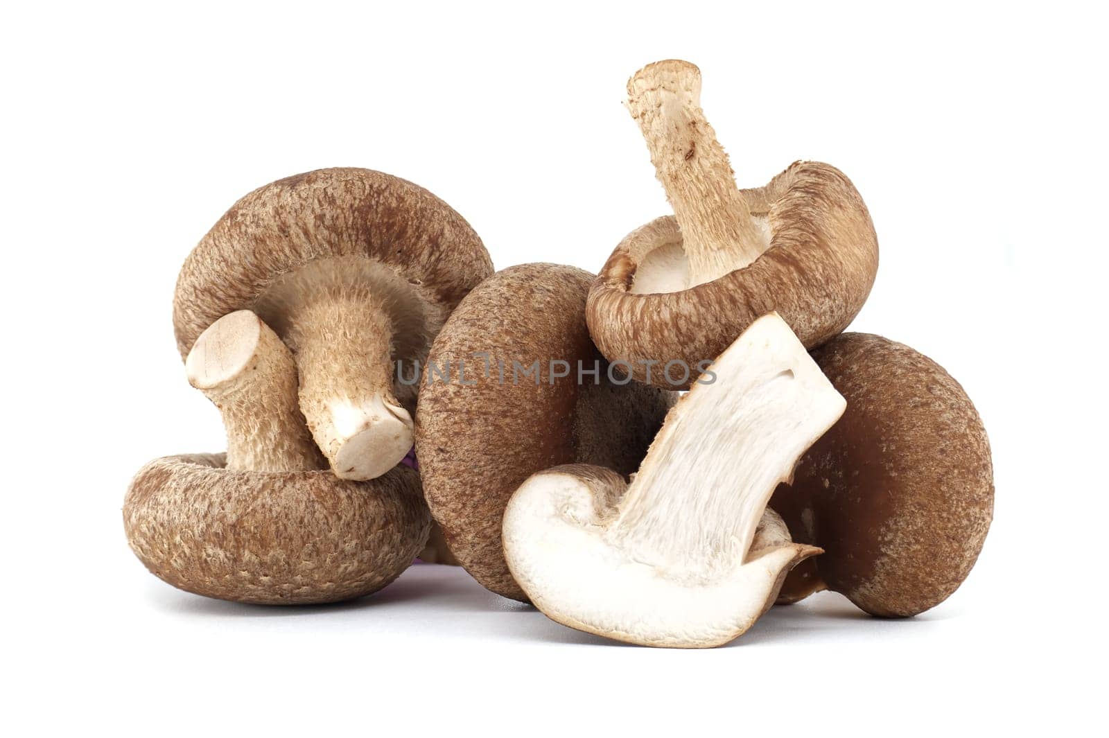 Shiitake mushrooms in close up isolated on white background by NetPix