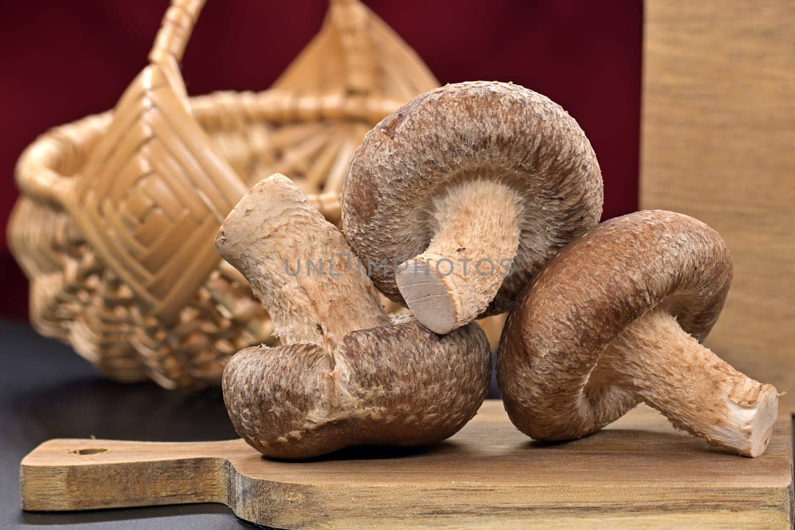 Raw shiitake mushrooms, known for their nutritional and medicinal properties, rest on a cutting board, health food and pharmacological properties, Lentinula edodes