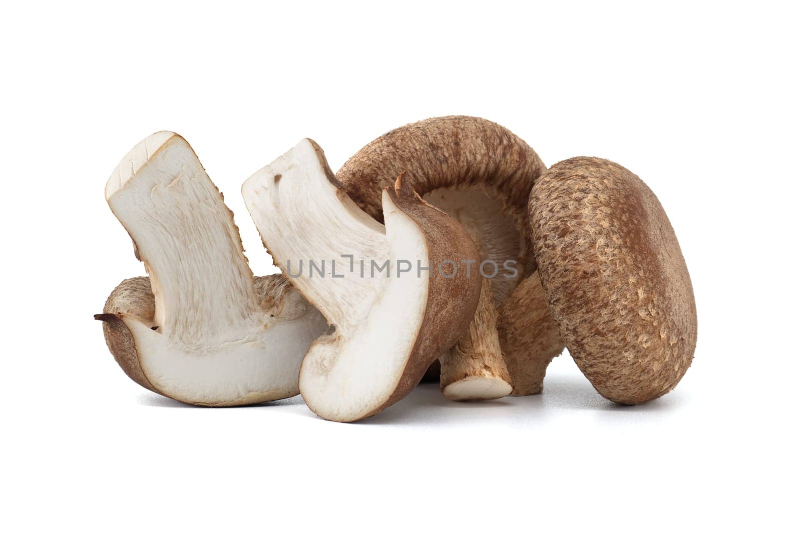 Shiitake mushrooms in close up isolated on white background by NetPix