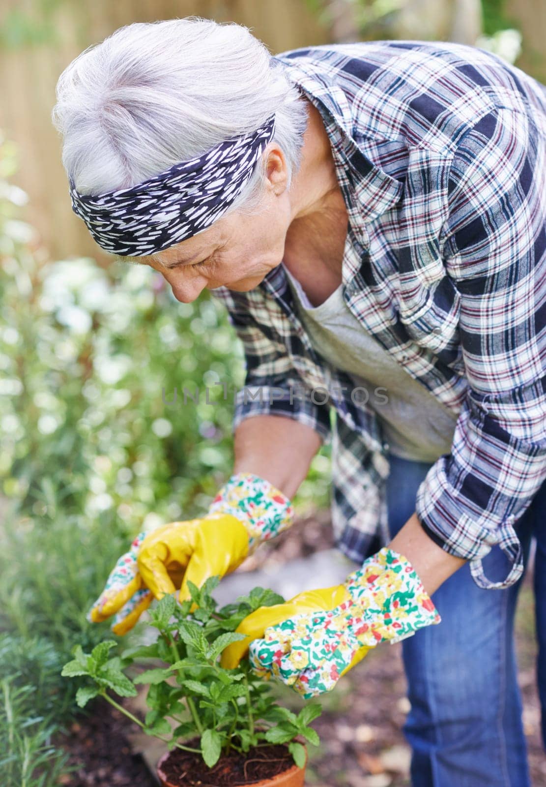 Senior, retired and woman with gardening as hobby by smell peppermint plant at home for health or peace. Elderly, female person and smile for growth of plants in summer with love or care for ecology by YuriArcurs
