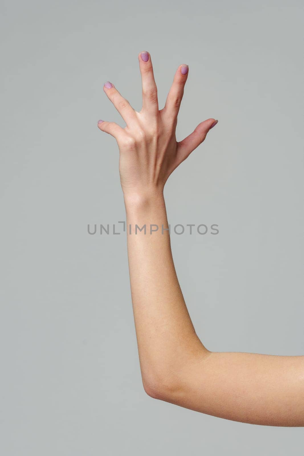 Open palm of a female hand o gray background by Fabrikasimf