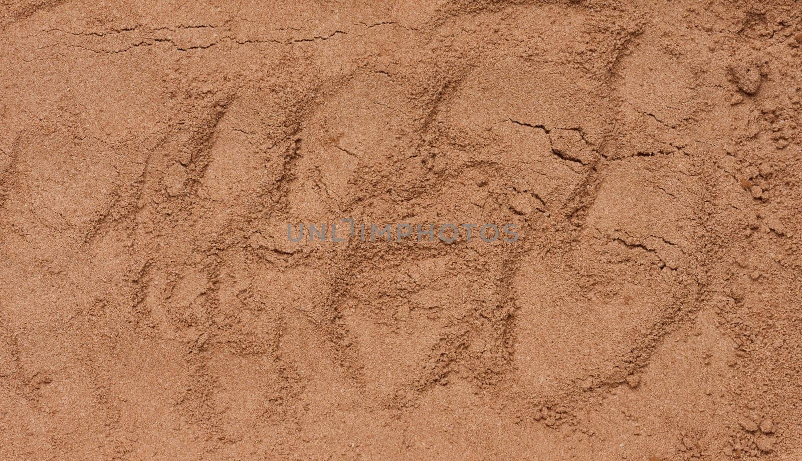 Dry ground cocoa powder, texture. Close up