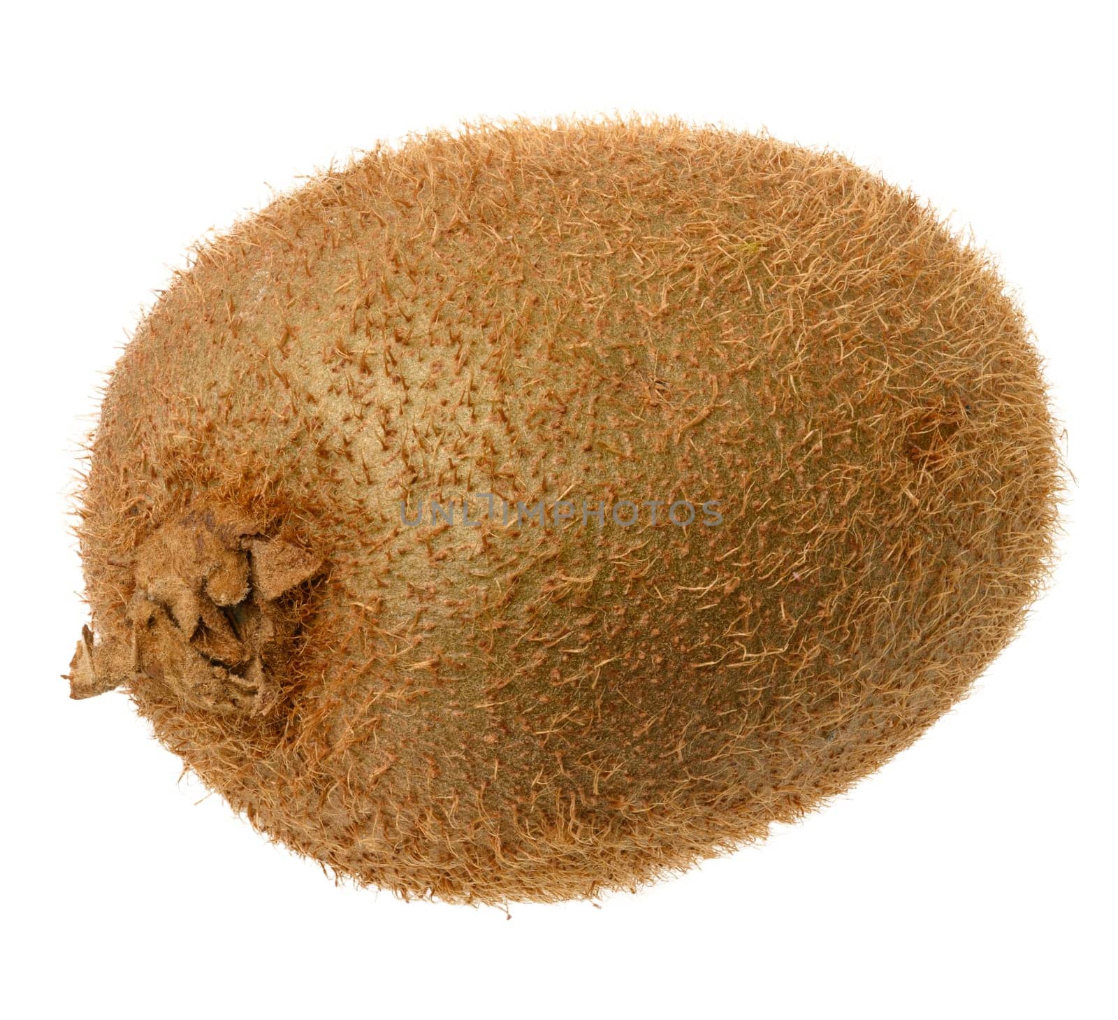 Ripe kiwi fruits on a white isolated background, close up