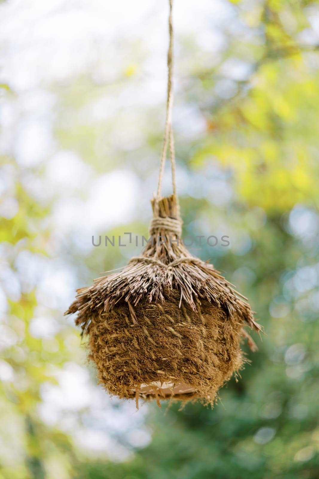 Straw nest with a roof hanging on a rope on a tree branch in the park by Nadtochiy