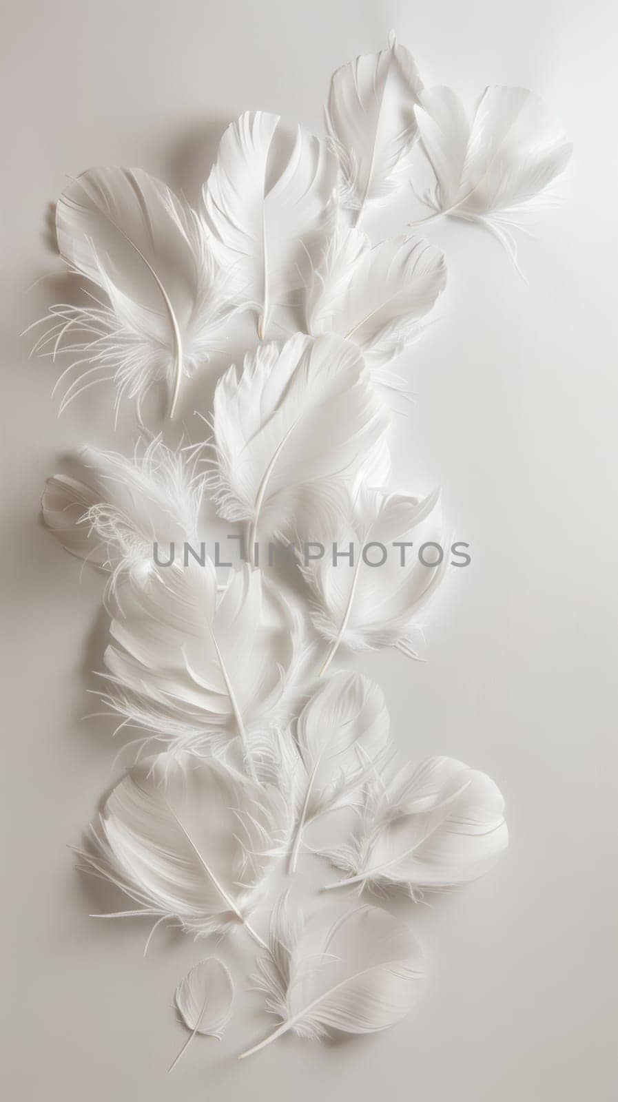 Assortment of delicate white feathers arranged on a light background.