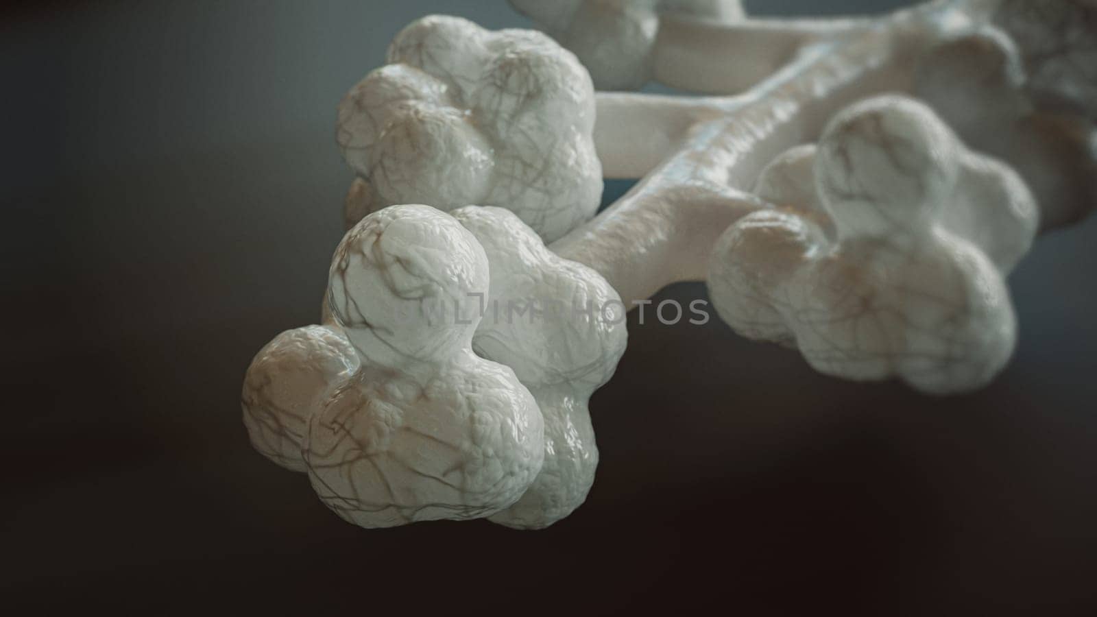 3D Rendering of Human Alveoli by Crevis