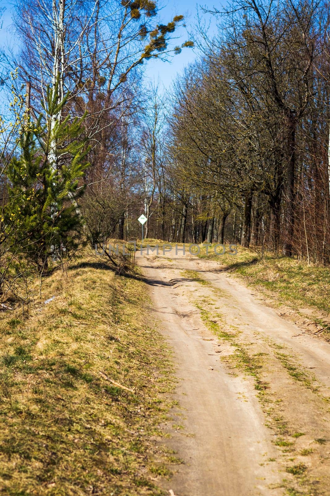 Shot of the street in the village