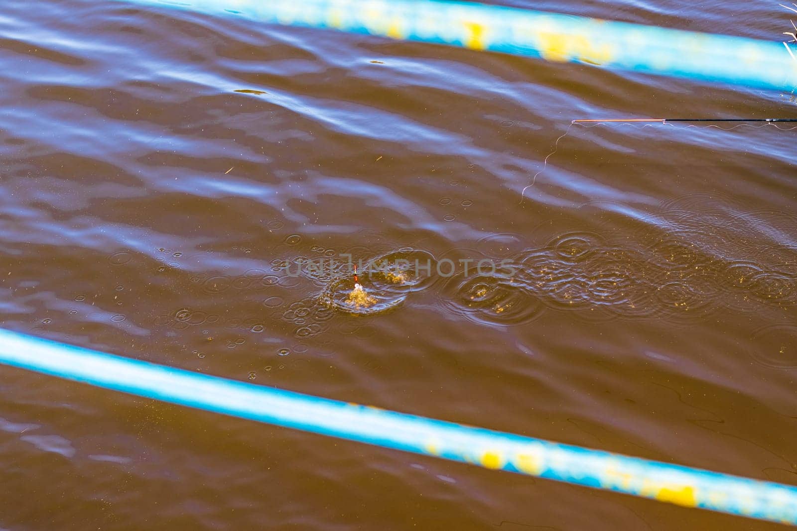 Concept shot of the fishing rod float in the pond